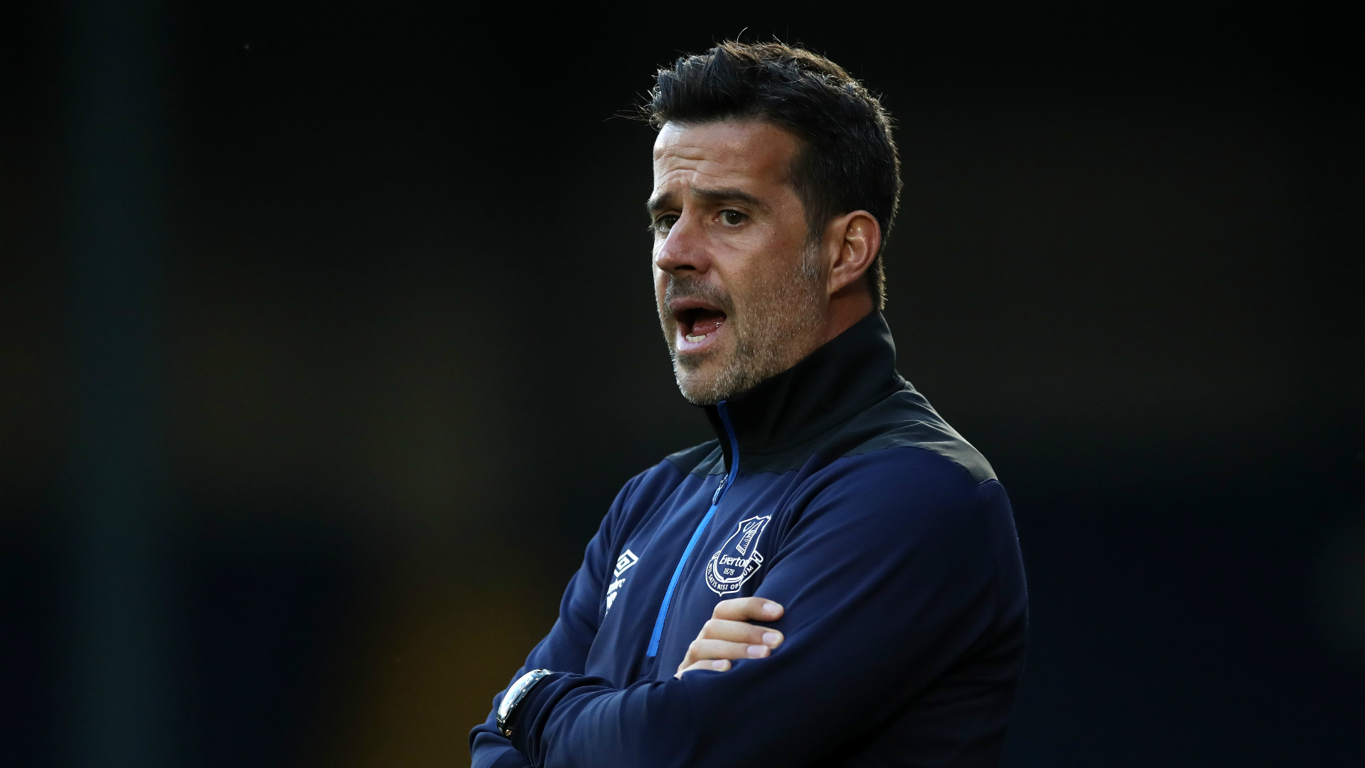 日耳曼效力 日耳曼效力